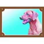 Dafiko Pozor pes! Tady hlídám já!