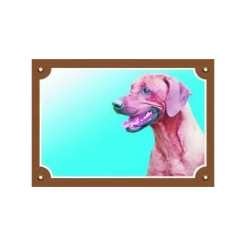 Dafiko Pozor pes! Tady hlídám já!, rhodésky ridgeback