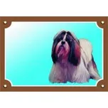 Dafiko Pozor pes! Tady hlídám já!