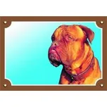 Dafiko Pozor pes! Tady hlídám já!