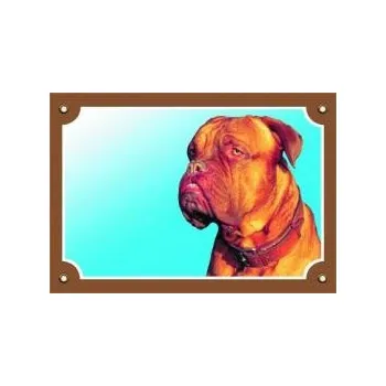 Dafiko Pozor pes! Tady hlídám já!, bordeauxská doga