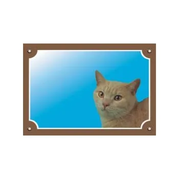 Dafiko Pozor pes! Tady hlídám já!