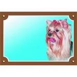 Dafiko Pozor pes! Tady hlídám já!