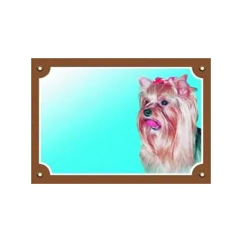 Dafiko Pozor pes! Tady hlídám já!, yorkšírský teriér