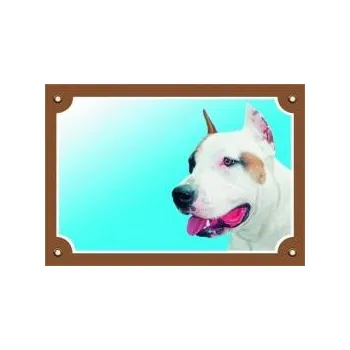 Dafiko Pozor pes! Tady hlídám já!, stafordshirský americký terier