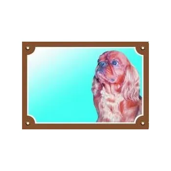 Dafiko Pozor pes! Tady hlídám já!, kavalír king charles španěl