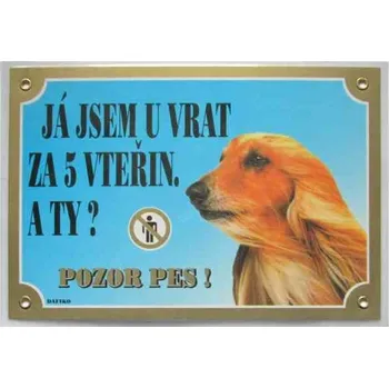 Dafiko Pozor pes! Tady hlídám já!, afgánský chrt