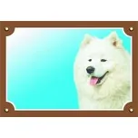 Dafiko Pozor pes! Tady hlídám já!