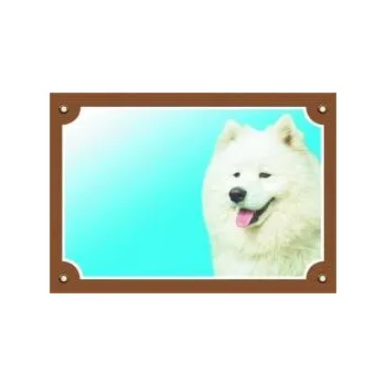 Dafiko Pozor pes! Tady hlídám já!, samojed