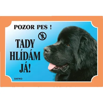 Dafiko Pozor pes! Tady hlídám já!, novofunlandský pes