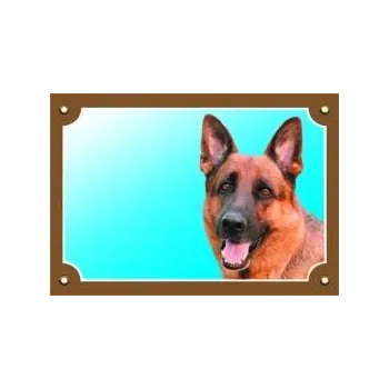 Dafiko Pozor pes! Tady hlídám já!, německý ovčák zepředu