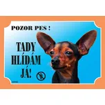 Dafiko Pozor pes! Tady hlídám já!