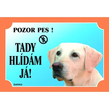 Dafiko Pozor pes! Tady hlídám já!, labrador světlý