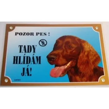 Dafiko Pozor pes! Tady hlídám já!, irský setr