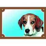 Dafiko Pozor pes! Tady hlídám já!