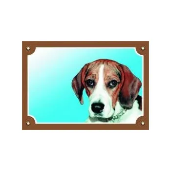 Dafiko Pozor pes! Tady hlídám já!, bígl