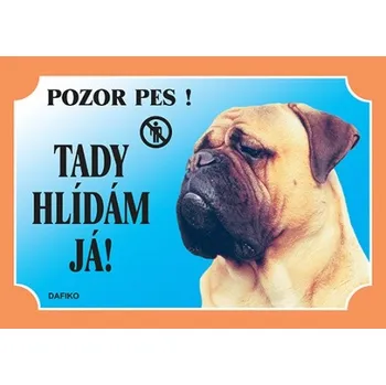 Dafiko Pozor pes! Tady hlídám já!, bullmastif