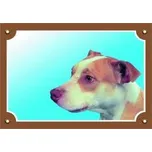 Dafiko Pozor pes! Tady hlídám já!