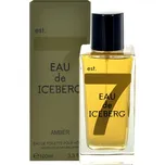 Iceberg Eau de Iceberg Amber M EDT