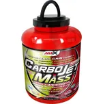 Amix CarboJet Mass Professional 1800 g