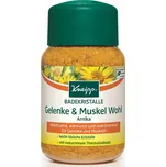 Kneipp Arnika sůl do koupele 500 g