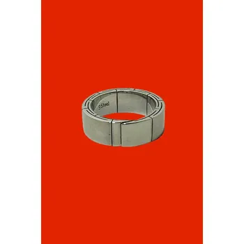 Prsten prsten SSteel