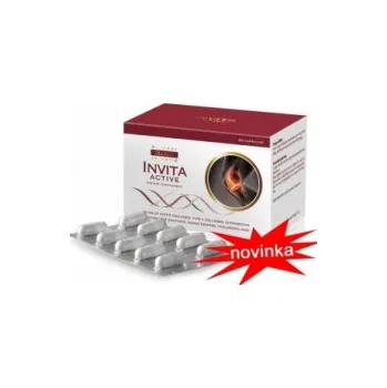 Kloubní výživa Kolagen v kapslích NEW - INVITA ACTIVE - 60 ks - ´´živý´´ kolagen, žraločí chrupavka, chondroitin, glukosamin, kyselina boswellová a hyaluronová