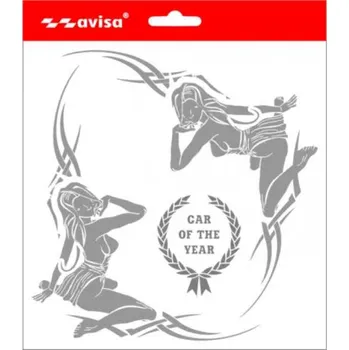 Samolepicí dekorace na vozidlo Samolepící dekory - 10.tribal