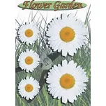 Samolepící dekory - Kopretiny