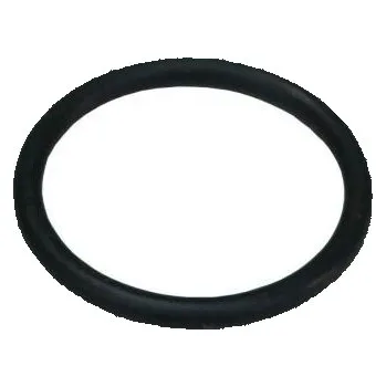 Okroužek 45x2 k pulzátoru BPM 362