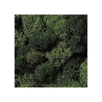 Modelová železnice NOCH 08621 Mech světle/tmavě zelený 75g NO08621