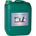Canna Terra Vega