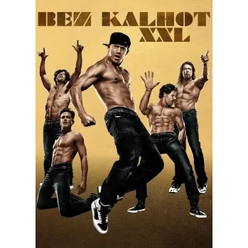 DVD film DVD Bez kalhot XXL (2015)