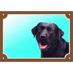 Dafiko Pozor pes! Tady hlídám já!