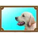 Dafiko Pozor pes! Tady hlídám já!