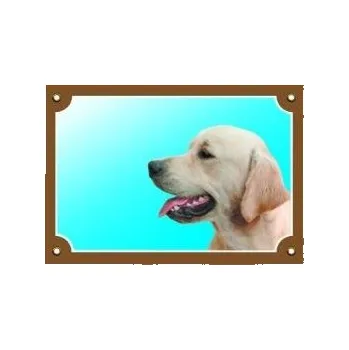 Dafiko Pozor pes! Tady hlídám já!, zlatý retrívr