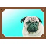 Dafiko Pozor pes! Tady hlídám já!