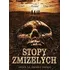 DVD film DVD Stopy zmizelých (2008)