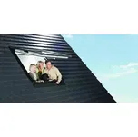 ROTO WDF R89P H N WD AL 7/9 74 x 98 cm