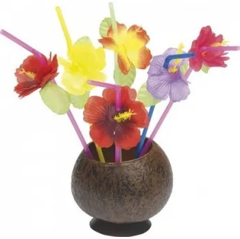 Smiffys Brčka Havaj