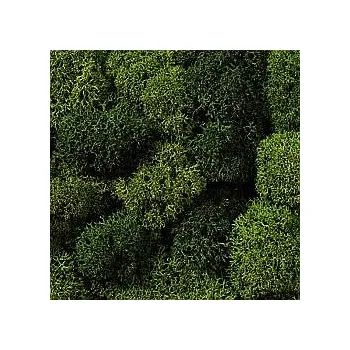 Modelová železnice NOCH 08610 Mech světle/tmavě zelený 35g NO08610