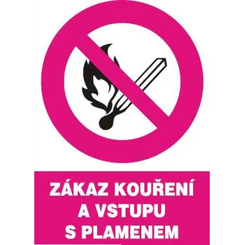 Zákaz kouření a vstupu s plamenem, plast A4