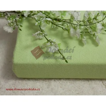 Prostěradlo Smolka | Prostěradlo froté 140x200 - světle zelené