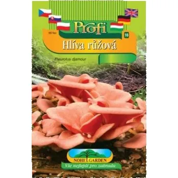 Pěstitelství Nohel Garden Hlíva růžová (Pleurotus djamour)