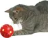 Hračka pro kočku Míč na pamlsky - odměny 7cm