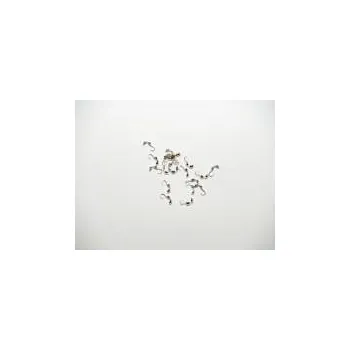 Dlažba Kalota dvoumisková, 20ks, imitace stříbra