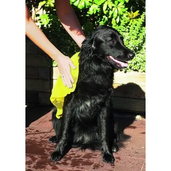 Dvířka pro psa Trixie Čistící ručník pro psy - Top - Fix