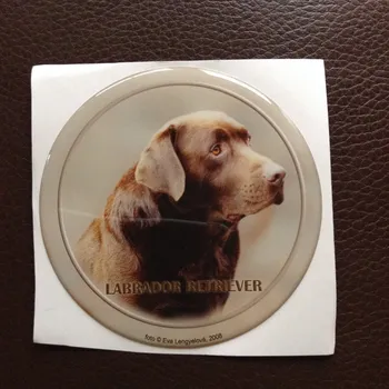 Samolepicí dekorace na vozidlo 3D Samolepka 10 cm Labrador Retriever - hnědý - DOPRODEJ 1 ks
