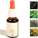 Bachovy kapky pro zvířata - Únava, uzdravovaní