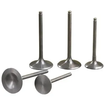 Ventil motoru Sací ventil SUZUKI DR 125 (Ventily WISECO)